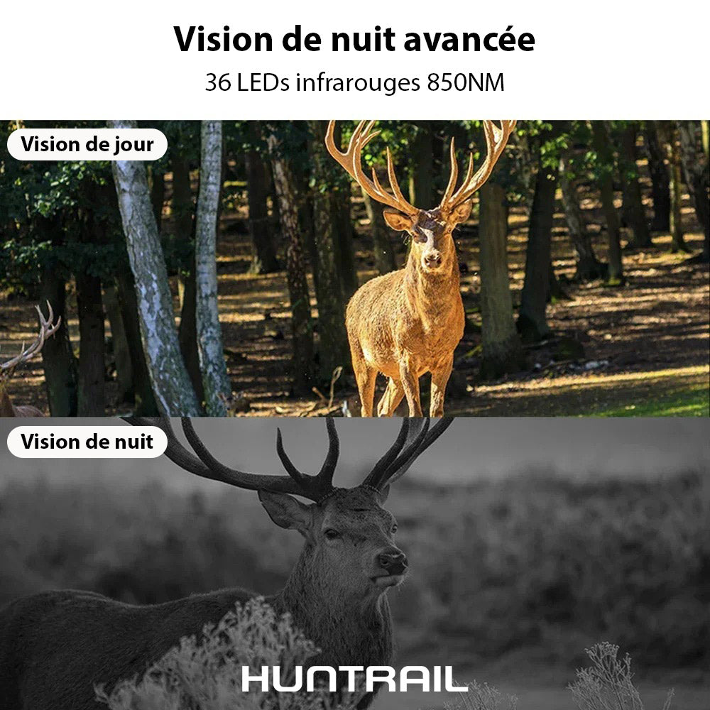 Caméra de chasse Huntrail 2K 4G avec panneau solaire