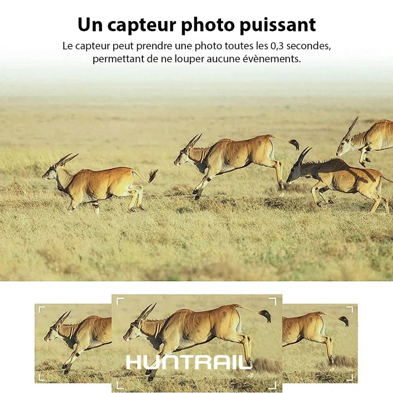 Caméra de chasse Huntrail 2K 4G avec panneau solaire