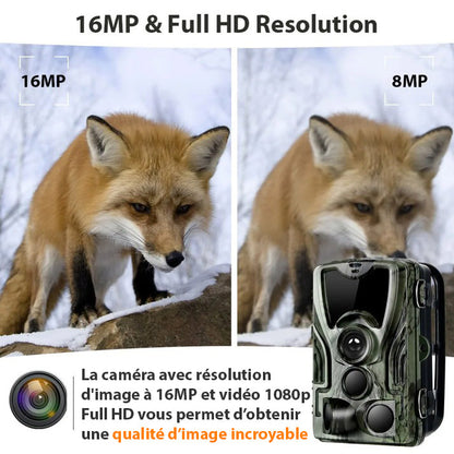 Caméra de chasse Huntrail Green HD 16MP