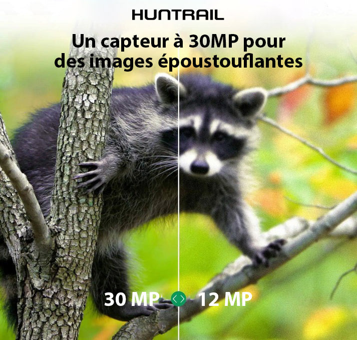 Caméra de chasse Huntrail PRO 4G 2K FULL HD