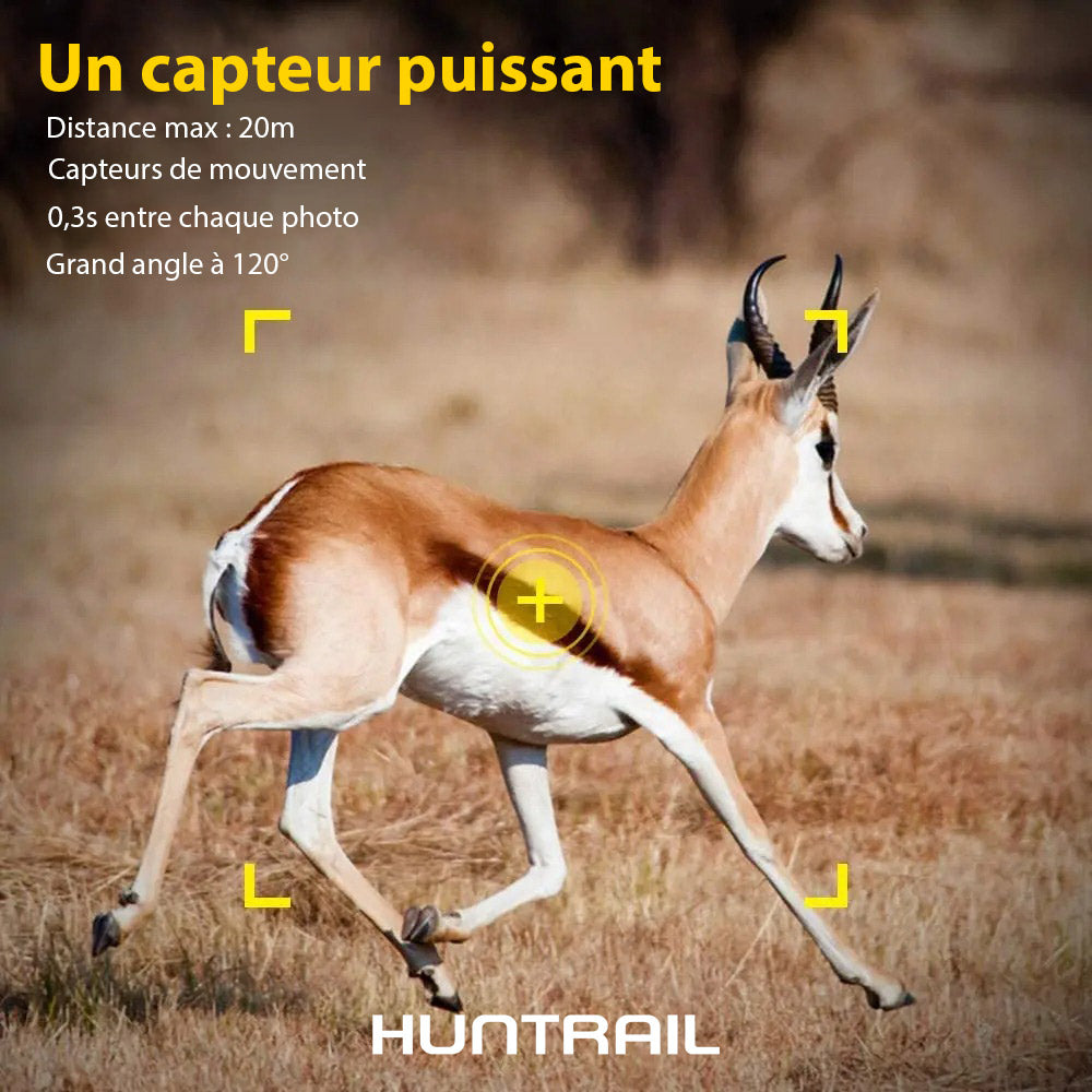 Caméra de chasse Huntrail PRO 4K et 4G